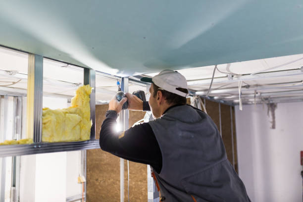 Best Specialty Insulation in Perry, LA