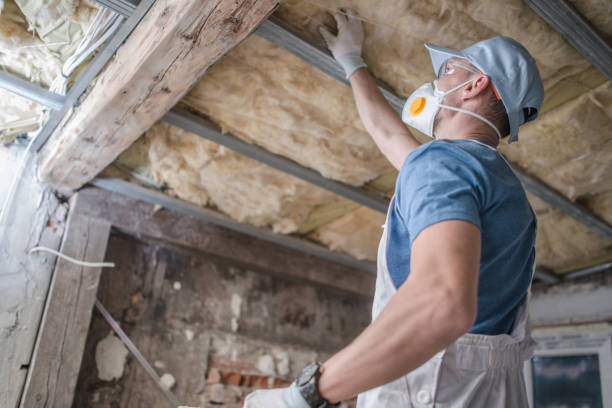 Best Residential Insulation in Perry, LA