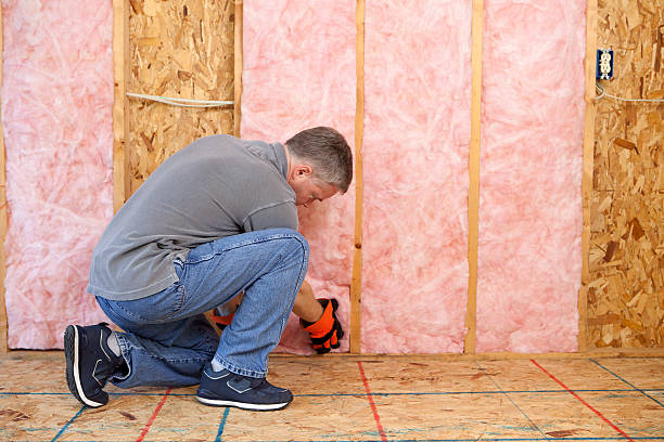 Best Insulation Installation Services in Perry, LA