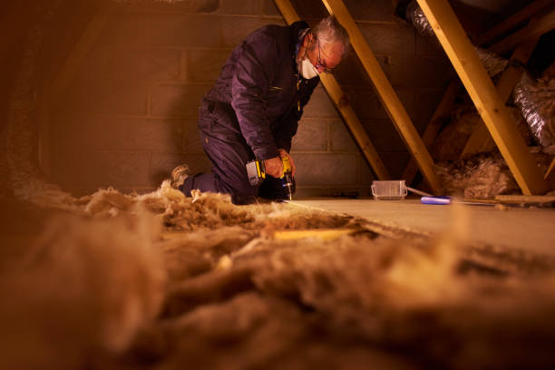 Best Types of Insulation in Perry, LA